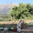 images/1.webp
